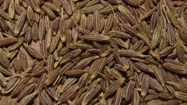 Cumin or jeera seeds, close-up. Seasoning cumin or jeera, a lot of seeds rotating.