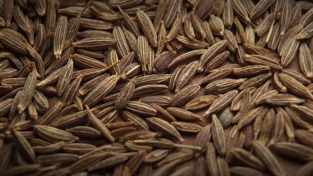 Cumin or jeera seeds, close-up. Seasoning cumin or jeera, a lot of seeds rotating.