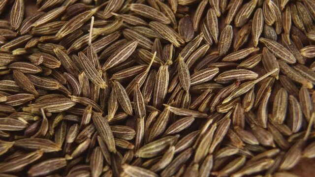 Cumin or jeera seeds, close-up. Seasoning cumin or jeera, a lot of seeds rotating.