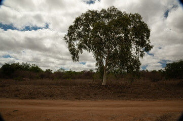 Ravenswood, Queensland, Australia