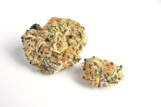 Platinum Dosi Marijuana Flower bud, cannabis flowers on a white background. 