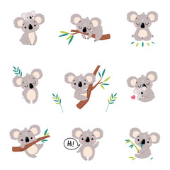 Adorable Koala in Various Actions Set, Lovely Australian Animals Cartoon Characters Vector Illustration
