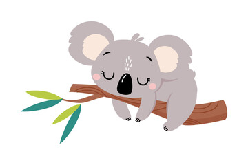 Obraz premium Cute Koala Sleeping on Tree Branch, Lovely Australian Animal Cartoon Vector Illustration