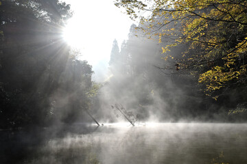 Fototapeta na wymiar 秋の亀山湖