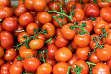Organic red tomatoes on the market. Fresh red tomatoes. Harvest of tomatoes.
