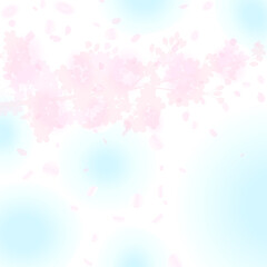 ぼんやりとした春の青い空　桜の枝と花びら