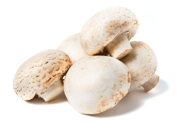 mushrooms champignons on a white background. Isolated.