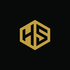 Initial letter HS hexagon logo design vector