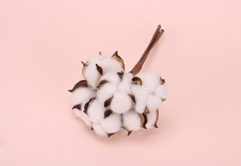 a bunch of cotton balls on a pink background