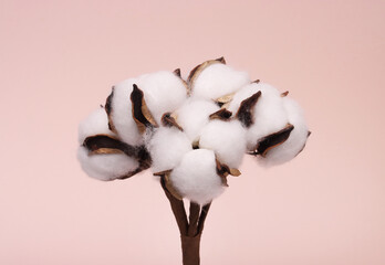 a bunch of cotton balls on a pink background