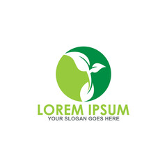 leaf nature vector , natural logo