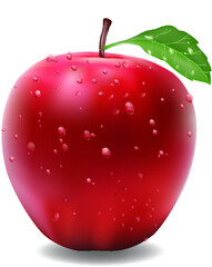 Red Apple Illustration
