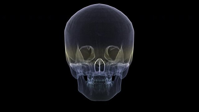 Futuristic holographic X-ray tomography scanning patient's Skull for health evaluation simulation medical examination, and assessment in full rotation loop with alpha channel - medical concept