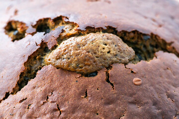 Unsuccessful baking gingerbread with raw filling, background. Macro, products