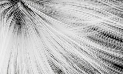 3D rendered abstract white flowing hair