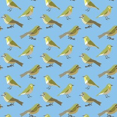 メジロとメグロ