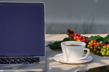 Close-up of white coffee cup with concrete background and raw coffee beans in the morning sun.