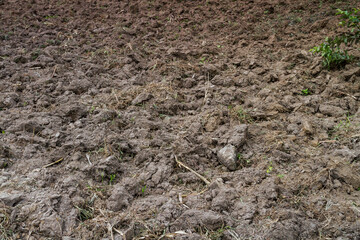 Soil nugget, soil clod, soil lump, soil chunk in fields on the island of Negros