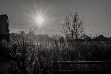 зимнее утро