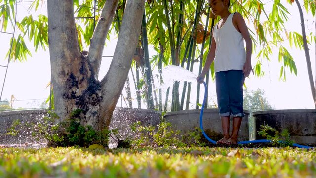 Asian boy waters the plants in the garden. Enjoy to play water with rubber water hose.