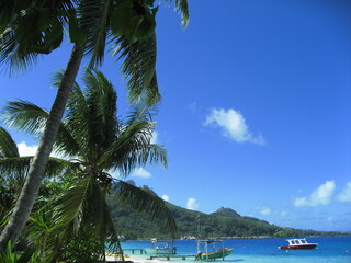 Beautiful day in island of Borabora Tahiti , starting from a great breakfast to awesome sunset on the beach.