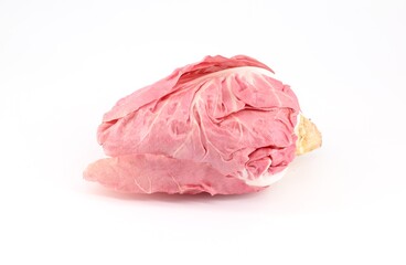 Pink radicchio plant, a type of leaf chicory of elongated shape, on white background. It is spread in the north east Italy and known for its taste.