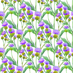 Persian cornflower. Vector seamless background pattern #2