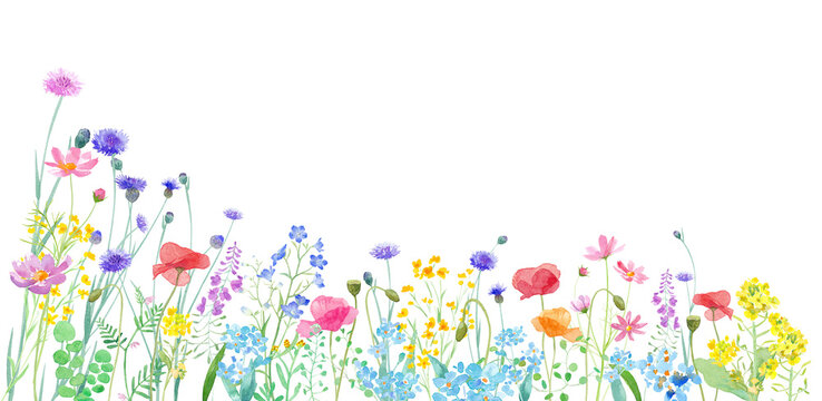 色々な花が咲き乱れる、春の野原の水彩イラスト。バナー背景。アシンメトリー。