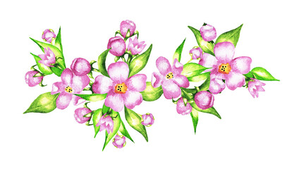 Fototapeta na wymiar Bouquet of pink flowers and leaves. Watercolor