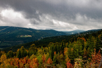 Paysage de montagne avec la for&ecirc;t de tous les verts possibles, un ciel nuageux et bleu. La for&ecirc;t est compos&eacute;e principalement de r&eacute;sineux, &eacute;pic&eacute;as sapins et pins.