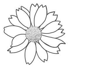 Red Sunflower or Maxican Sunflower Hand draw line art, Red Sunflower isolated on white background with copy space for decorative wall prints.