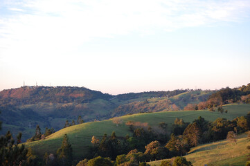 Naklejka premium Sunshine Coast Hinterland