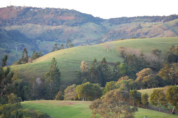 Sunshine Coast Hinterland © Dynea Chapman
