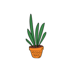 Sansevieria sign. House plant. Flowers in pot. Hand drawn vector doodle illustration