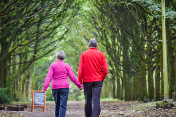 Fototapeta premium Beautiful older couple holding hand each other and walking in the park.