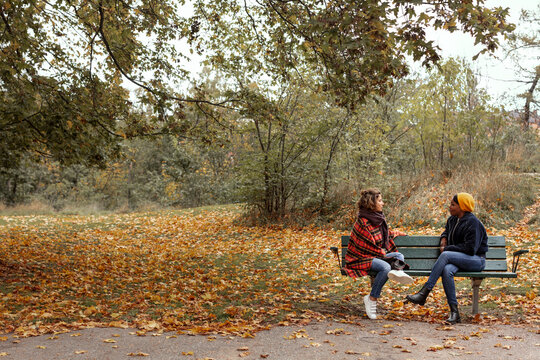 Female friends talking on bench in park