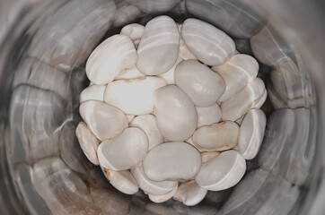 Orteils du prêcheur