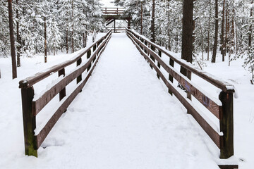 A wooden pier in the forest, a viewing point for tourists.