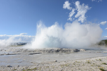 A small geyser at Yellowstone National Park erupting on a sunny day with a few clouds