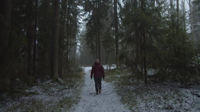 Tracking shot following behind single Scandinavian woman walking along snow covered country track through pine trees in Finland