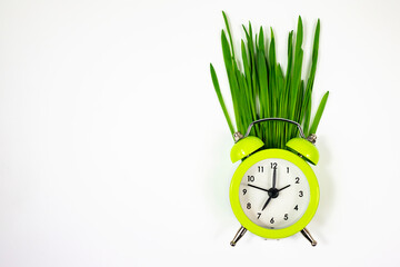 Small green alarm clock and fresh natural grass on white background. The concept of fasting and weight loss.