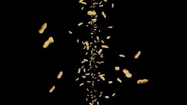 Flying many peanuts on black background. Raw peanuts. Groundnuts in shells. Healthy organic food. 3D loop animation of seed rotating.