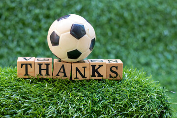 Soccer ball with thank you word are on green grass