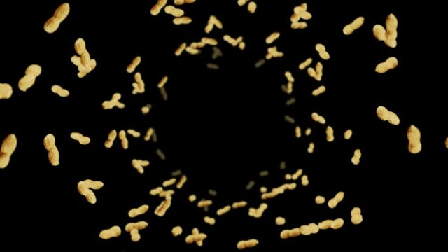 Flying many peanuts on black background. Raw peanuts. Groundnuts in shells. Healthy organic food. 3D loop animation of seed rotating.