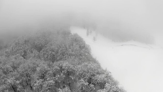 Aerial view of a frozen forest with snow covered trees at winter during foggy journey. Flight above winter forest in Italy during winter storm, top view.