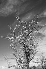Sardinien italienische Insel im Mittelmeer
