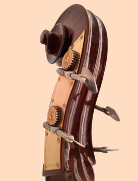 il riccolo del manico dello strumento musicale contrabbasso