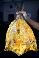Hand holding giant frozen meat salted fish dried seafood