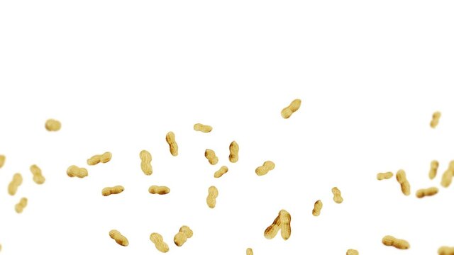 Flying many peanuts on white background. Raw peanuts. Groundnuts in shells. Healthy organic food. 3D loop animation of seed rotating.