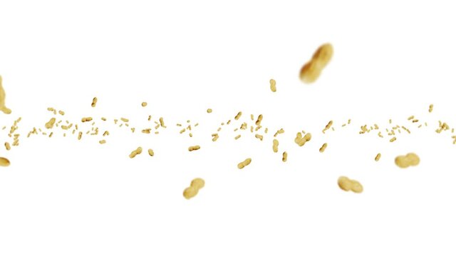 Flying many peanuts on white background. Raw peanuts. Groundnuts in shells. Healthy organic food. 3D loop animation of seed rotating.
